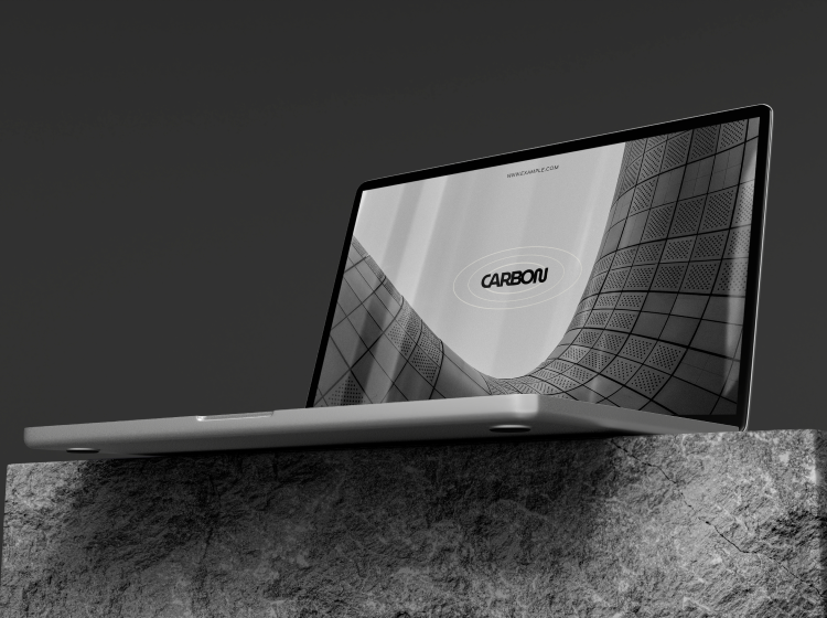 portafolio comercial